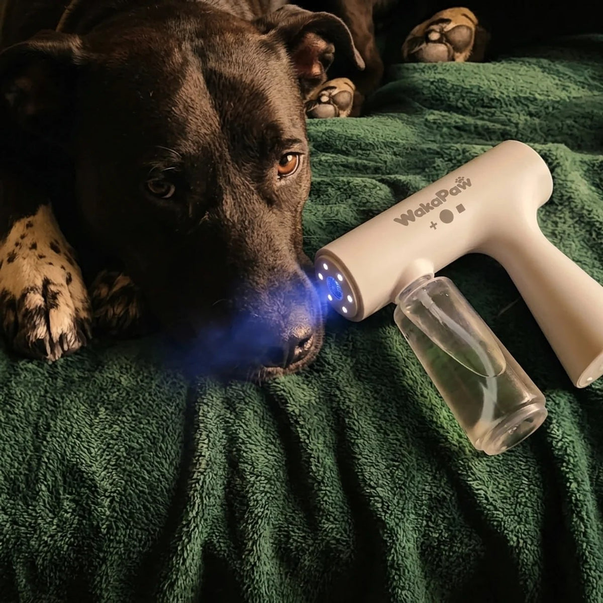 Misting a pet bed with the WakaPaw EnzyMist™ Pet Odor Atomizer